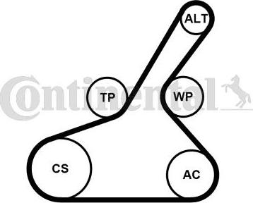 Continental CTAM 6PK1190K1 - Поликлиновый ременный комплект parts5.com