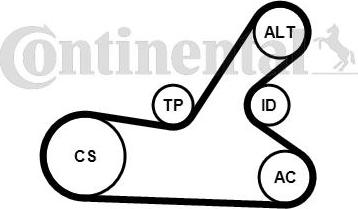 Continental CTAM 6PK1145K4 - V-Ribbed Belt Set parts5.com