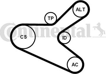 Continental CTAM 6PK1153K2 - Поликлиновый ременный комплект parts5.com