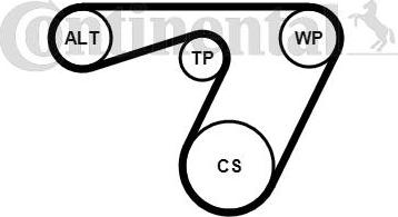 Continental CTAM 6PK1180K1 - V-Ribbed Belt Set parts5.com