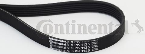 Continental CTAM 6PK1125 - Correa trapecial poli V parts5.com