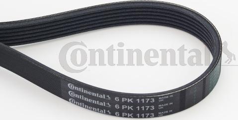 Continental CTAM 6PK1173 - Correa trapecial poli V parts5.com