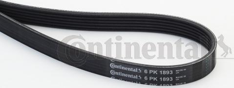 Continental CTAM 6PK1893 - Correa trapecial poli V parts5.com