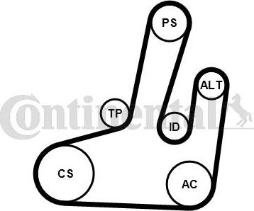 Continental CTAM 6PK1845K1 - Поликлиновый ременный комплект parts5.com