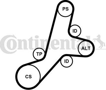 Continental CTAM 6PK1345K1 - Поликлиновый ременный комплект parts5.com