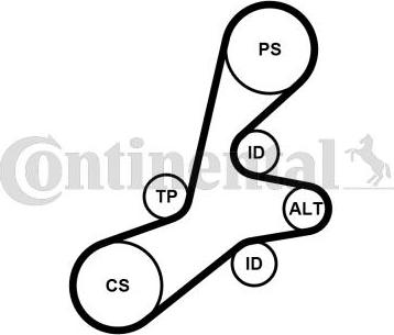 Continental CTAM 6PK1352K1 - Поликлиновый ременный комплект parts5.com