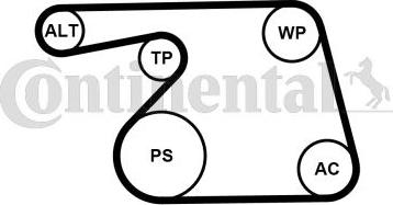 Continental CTAM 6PK1318K2 - Поликлиновый ременный комплект parts5.com