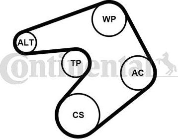 Continental CTAM 6PK1244K1 - Поликлиновый ременный комплект parts5.com