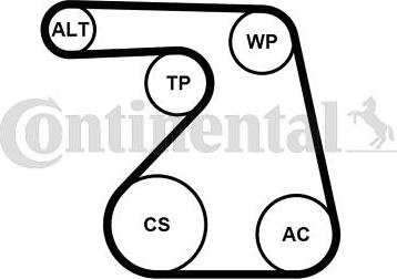 Continental CTAM 6PK1217K2 - Поликлиновый ременный комплект parts5.com