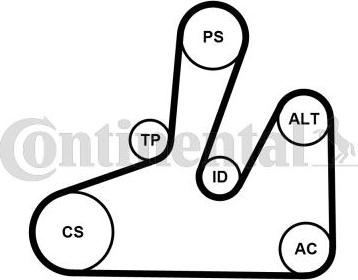 Continental CTAM 6PK1740K4 - Поликлиновый ременный комплект parts5.com
