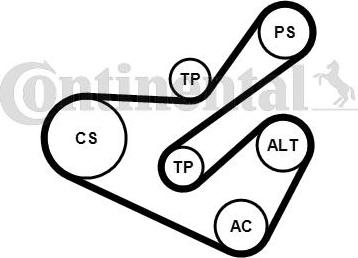 Continental CTAM 6PK1740K1 - Поликлиновый ременный комплект parts5.com