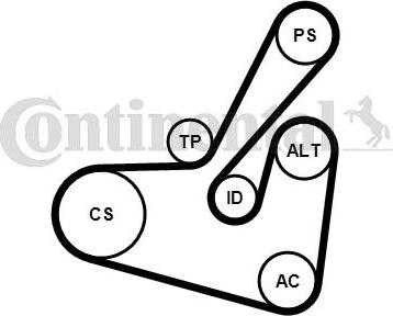 Continental CTAM 6PK1750K1 - Поликлиновый ременный комплект parts5.com