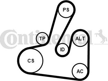 Continental CTAM 6PK1705K2 - Поликлиновый ременный комплект parts5.com