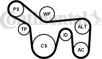 Continental CTAM 6PK1715K1 - Поликлиновый ременный комплект parts5.com