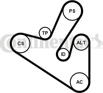 Continental CTAM 6PK1710K1 - Поликлиновый ременный комплект parts5.com