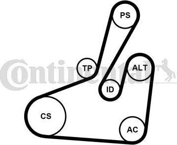 Continental CTAM 6PK1710K2 - Поликлиновый ременный комплект parts5.com