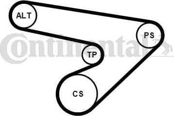 Continental CTAM 6PK1725K1 - Juego de correas trapeciales poli V parts5.com