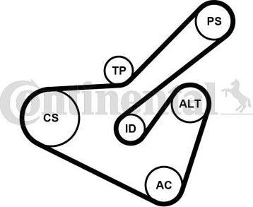 Continental CTAM 6PK1725K2 - Поликлиновый ременный комплект parts5.com