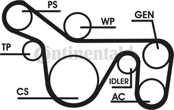 Continental CTAM 6PK1720D1 - V-Ribbed Belt Set parts5.com