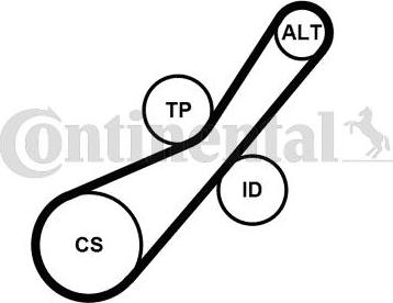 Continental CTAM 6PK800K2 - V-Ribbed Belt Set parts5.com