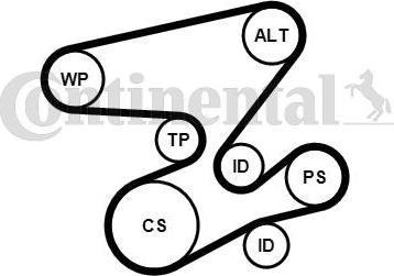 Continental CTAM 6PK2080K1 - V-Ribbed Belt Set parts5.com