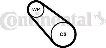 Continental CTAM 3PK576 ELAST WP1 - Водяной насос + комплект ручейковых ремней parts5.com