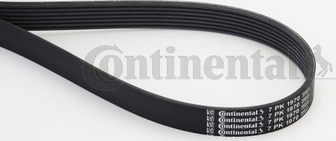 Continental CTAM 7 PK 1970 - Поликлиновой ремень parts5.com