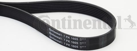 Continental CTAM 7 PK 1605 - Поликлиновой ремень parts5.com