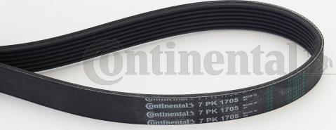 Continental CTAM 7 PK 1705 - Поликлиновой ремень parts5.com