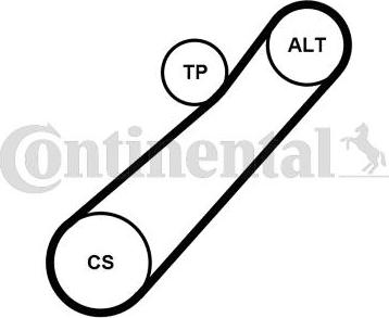 Continental CTAM 7PK880K1 - Поликлиновый ременный комплект parts5.com