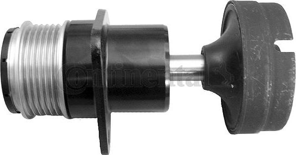 Continental CTAM AP9045 - Polea, alternador parts5.com