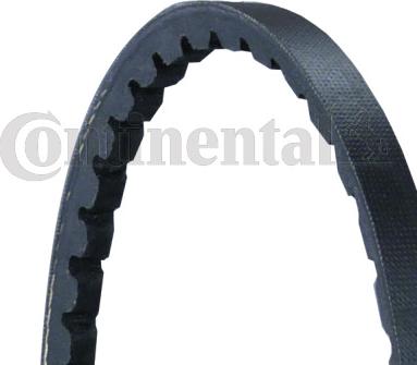 Continental CTAM AVX10X965 - Клиновой ремень, поперечные рёбра parts5.com