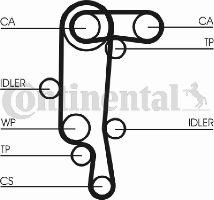 Continental CTAM CT957 - Timing Belt parts5.com