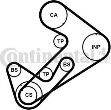 Continental CTAM CT921K3PRO - Комплект ремня ГРМ parts5.com