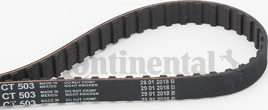 Continental CTAM CT 503 - Timing Belt parts5.com