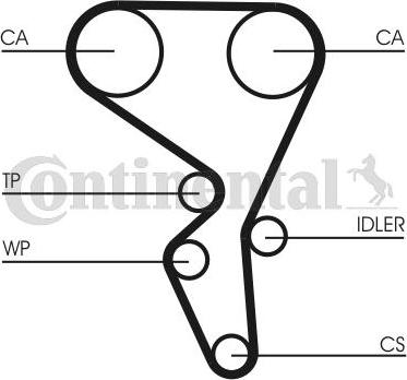 Continental CTAM CT1065WP2 - Водяной насос + комплект зубчатого ремня parts5.com