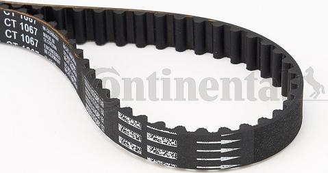 Continental CTAM CT 1067 - Timing Belt parts5.com