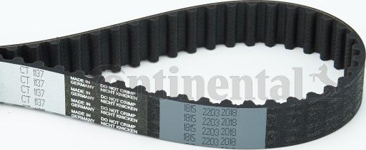 Continental CTAM CT 1137 - Зубчатый ремень ГРМ parts5.com