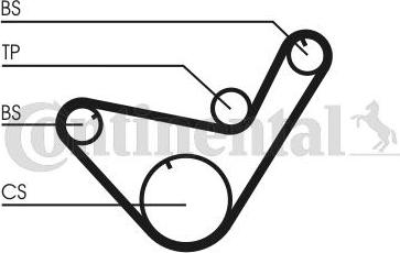 Continental CTAM CT714K1 - Комплект ремня ГРМ parts5.com