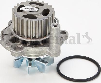 Continental CTAM WP 6041 - Водяной насос parts5.com