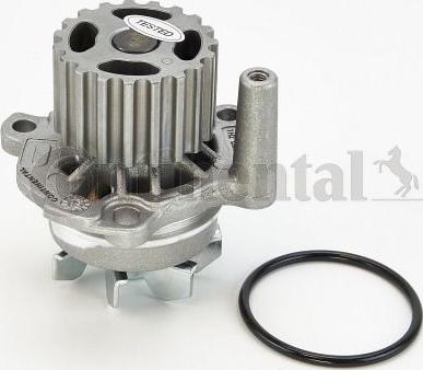 Continental CTAM WP6003 - Водяной насос parts5.com