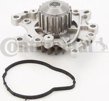 Continental CTAM WP6136 - Water Pump parts5.com