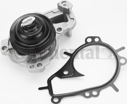 Continental CTAM WPS3135 - Water Pump parts5.com