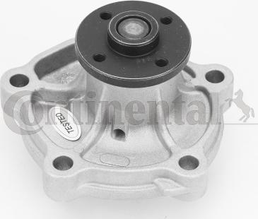 Continental CTAM WPS3137 - Водяной насос parts5.com