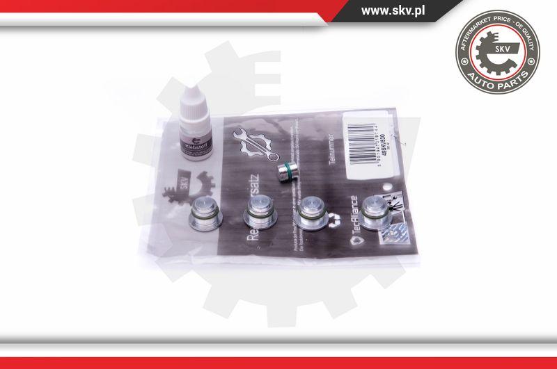 Esen SKV 49SKV530 - Ремкомплект, модуль впускного коллектора parts5.com