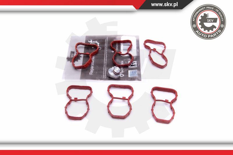 Esen SKV 49SKV520 - Ремкомплект, модуль впускного коллектора parts5.com