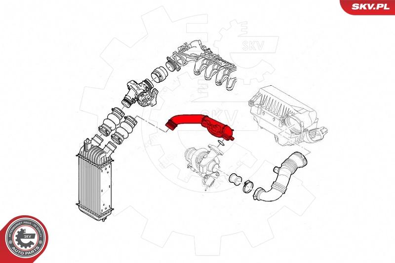 Esen SKV 43SKV317 - Трубка, нагнетание воздуха parts5.com