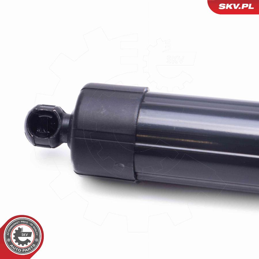 Esen SKV 52SKV954 - Электромотор, задняя дверь parts5.com