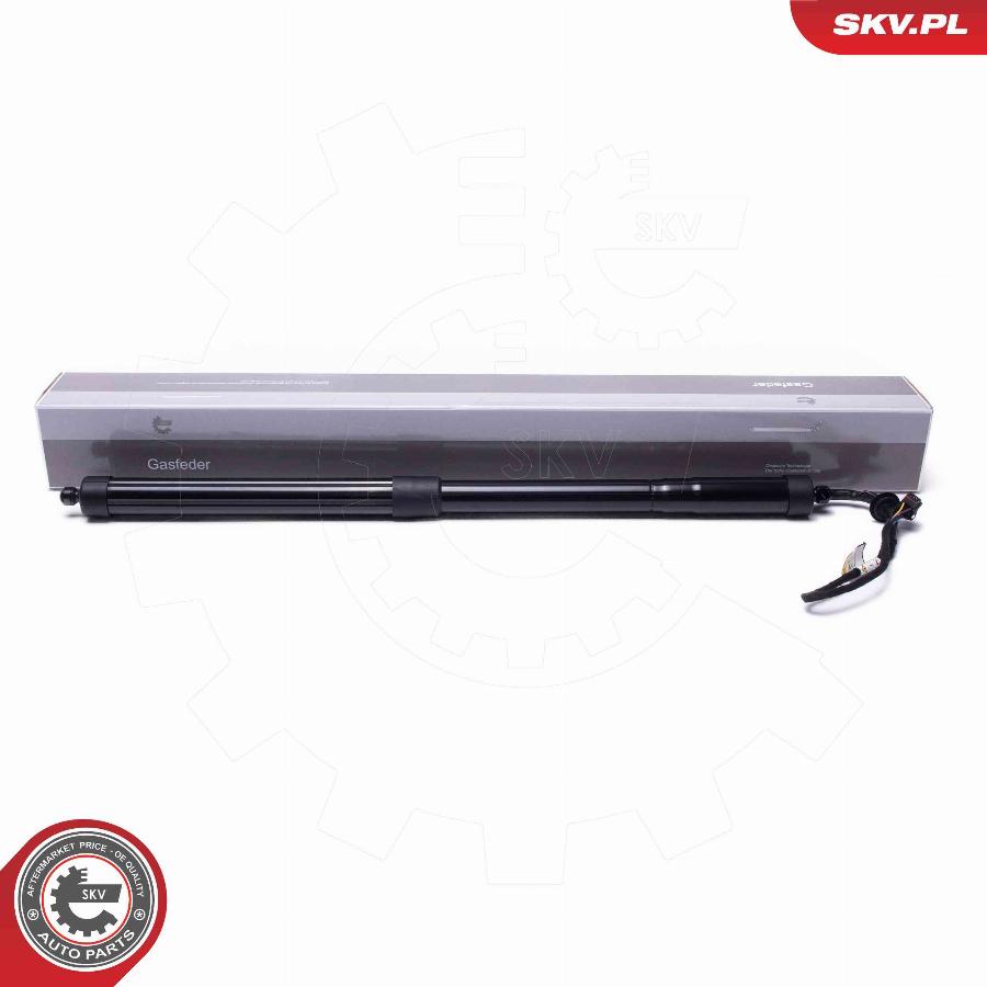 Esen SKV 52SKV954 - Электромотор, задняя дверь parts5.com