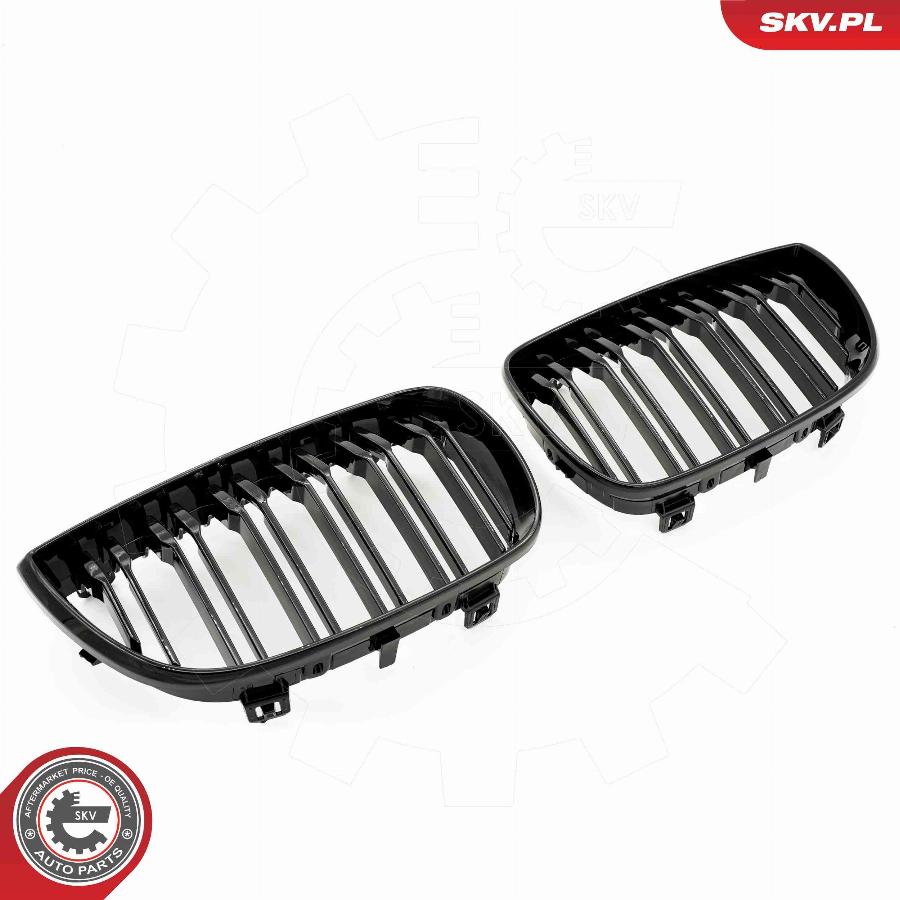 Esen SKV 66SKV005 - Решетка радиатора parts5.com